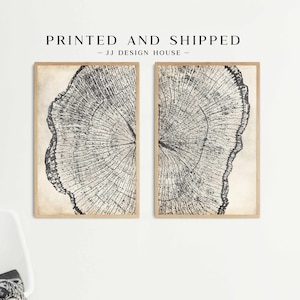 Printed Wall Art Set of 2, Abstract Wall Art, Tree Ring Art Print Set of 2, Nature Print Set Neutral Wall Art, Beige Black Prints