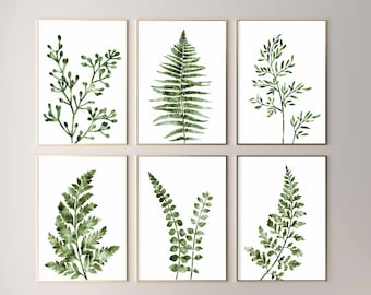 Könnte beinhalten: Sechs gerahmte botanische Drucke mit Aquarellillustrationen von grünen Farnen und Blättern auf weißem Hintergrund. Die Rahmen haben eine goldene Oberfläche. Die Drucke werden über einer grauen Bank mit goldenen Beinen ausgestellt.