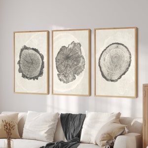 3 pièces Wall Art Tree Ring Wall Art, Ensemble d'impression d'anneau d'arbre, Art d'anneau d'arbre, Impressions minimalistes, Art abstrait neutre, Art abstrait moderne,