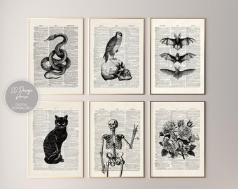 Vintage Halloween Decor Set of 6 Prints, DIY Halloween Decor, Halloween Prints, Spooky Halloween Art, Skeleton Print, Funny Halloween Print