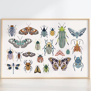 Könnte beinhalten: Ein gerahmter Druck mit einer Sammlung farbenfroher Insektenillustrationen. Das Kunstwerk zeigt verschiedene Käfer, Schmetterlinge und andere Insekten in einem detaillierten, künstlerischen Stil. Die Insekten sind in einer Vielzahl von Farben und Mustern dargestellt.