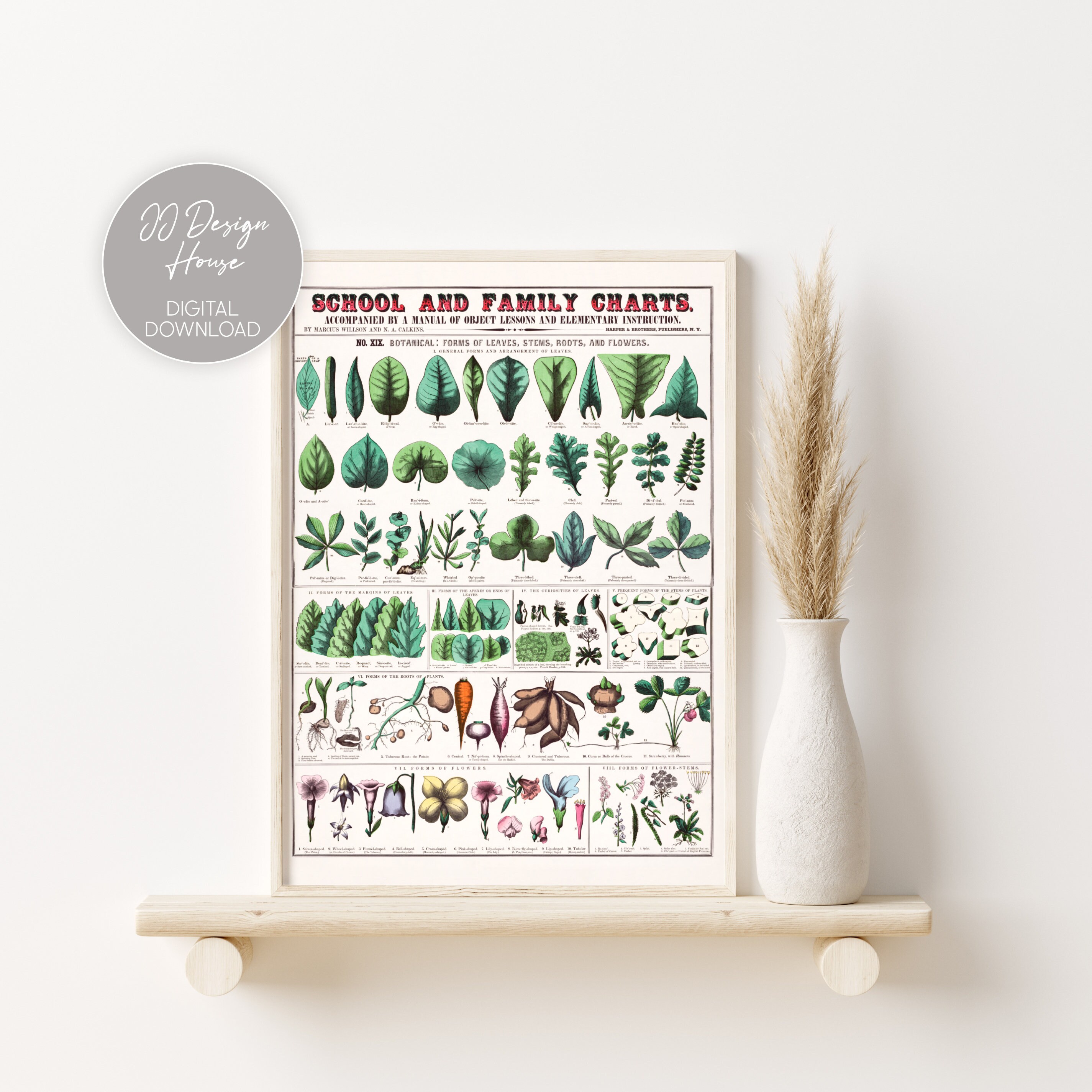 Botanical Poster Cottagecore Print Vintage French | Etsy