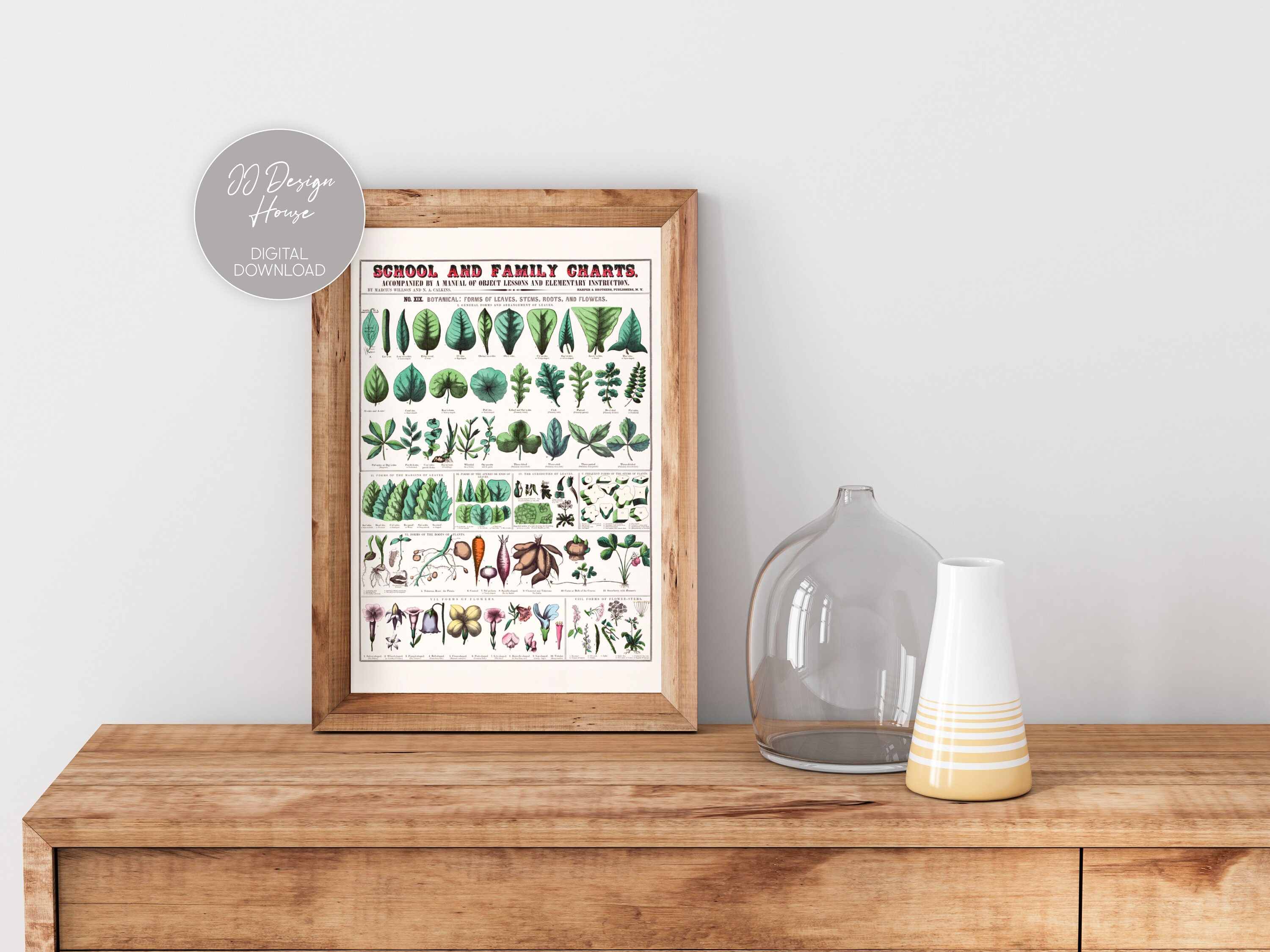 Botanical Poster Cottagecore Print Vintage French | Etsy