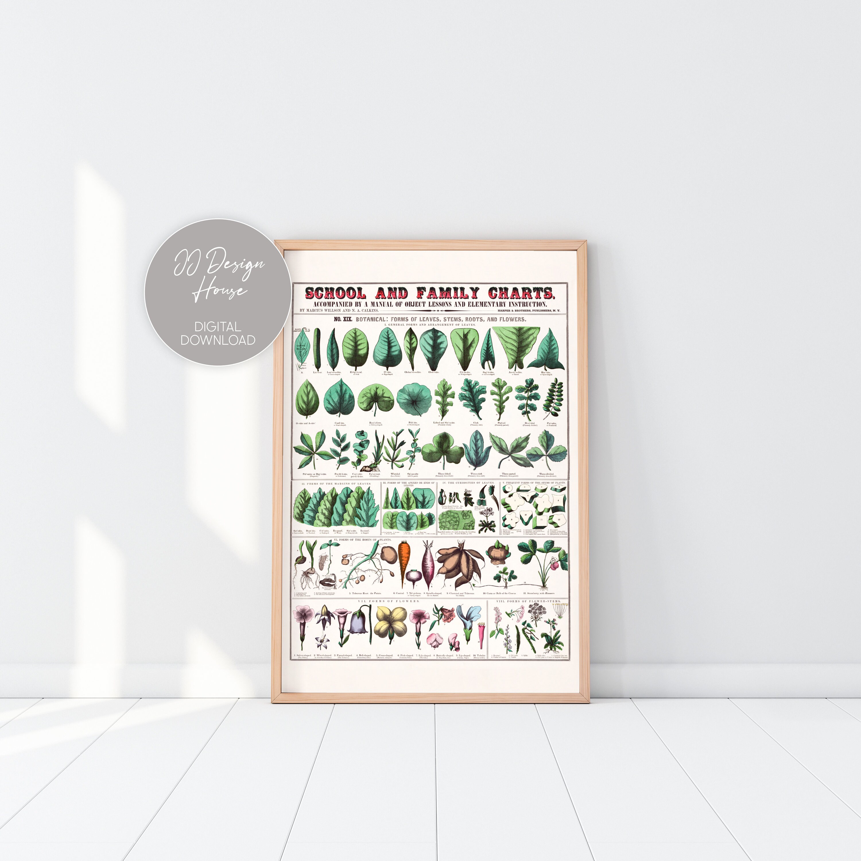 Botanical Poster Cottagecore Print Vintage French | Etsy