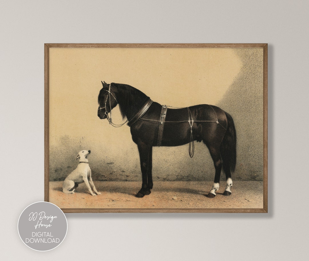 Horse Print Dog Print Vintage Print Animal Wall Art Best - Etsy