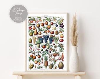 Vintage Küche Print, Cottagecore Print, Obst Poster, Vintage Französische Illustration, Cottage Core Dekor, Retro Küche Wandkunst, Koch Geschenk