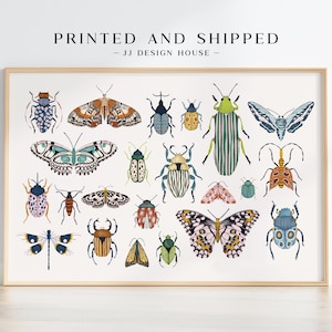 May include: A framed print featuring a collection of colorful insect illustrations, including butterflies, beetles, and moths. The artwork is set against a white background, with the text "PRINTED AND SHIPPED" at the top.