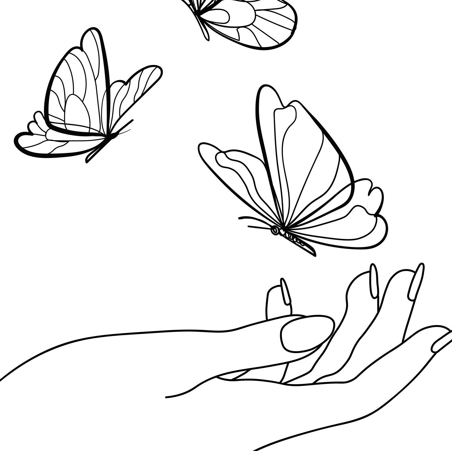 Black And White Drawings Of Butterflies