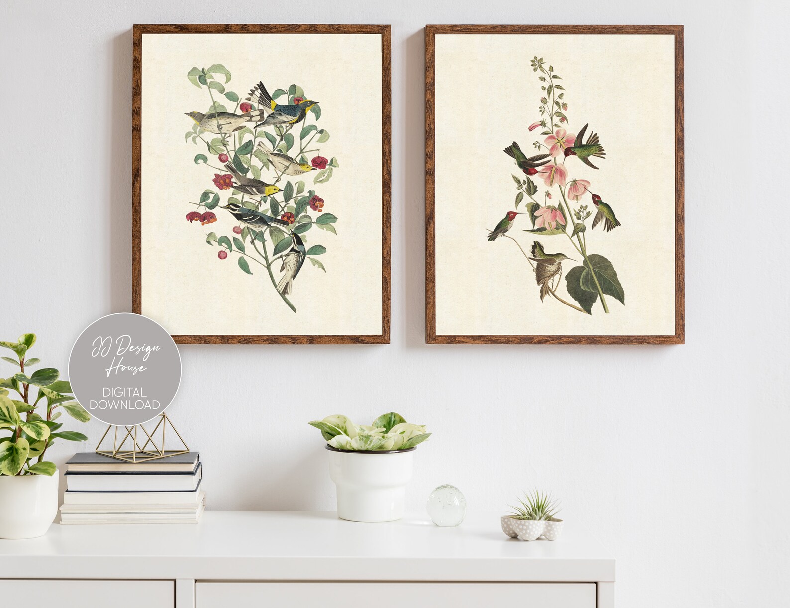 Botanical Prints Set of 2, Vintage Flower Illustrations, Vintage Bird ...