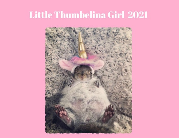 Little Thumbelina Girl Wall Calendar 21 Etsy