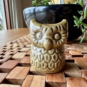 Vintage Owl Green Ceramic Toothpick Holder Knick Knack 1950’s