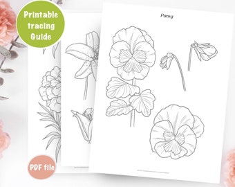 Hulplijnen voor het traceren van bloemen, bloemen leren tekenen, kleurplaten, afdrukbare werkbladen, digitale download, hoe te tekenen, goudsbloem fresia's