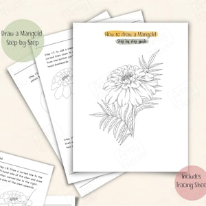 How to Draw a Marigold Step by Step | Botanical Flower Drawing Tutorial PDF | Line Art Guide | Printable Drawing Lesson + Tracing Sheet