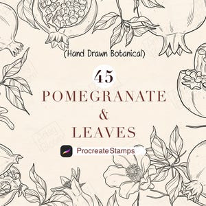 Peut inclure: Une collection numérique de 45 illustrations botaniques de grenades et de feuilles dessinées à la main avec des lignes noires sur fond beige clair. Le texte indique : Hand Drawn Botanical, 45 POMEGRANATE & LEAVES, et Procreate Stamps.