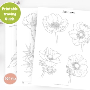 May include: Printable tracing guide featuring five black and white line drawings of anemones. The title "Anemone" is at the top of the page.