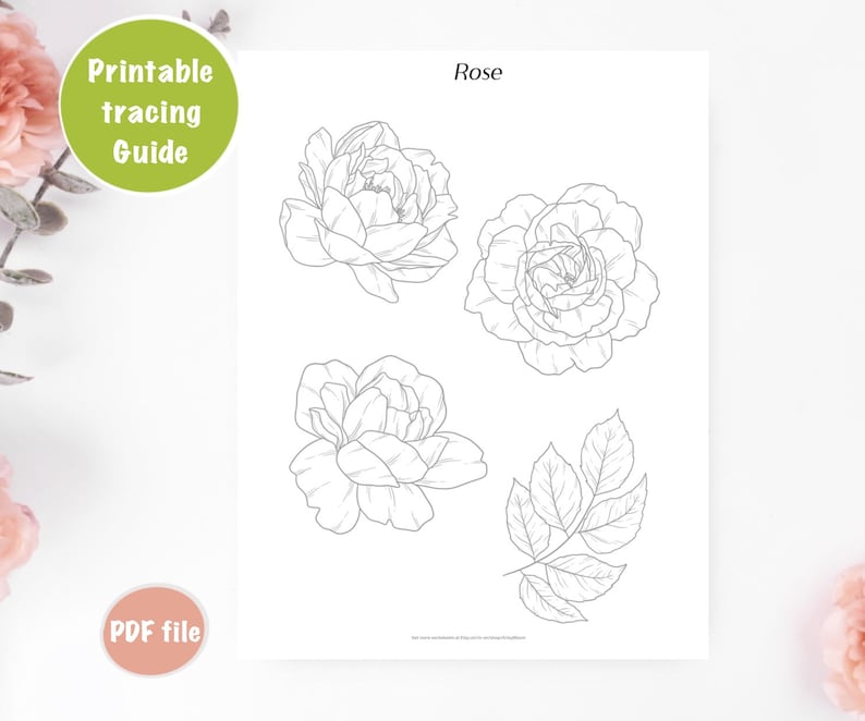 White Roses Trace Flower Tracing Guides, Learn to Draw Flowers, Coloring Pages, Printable ...