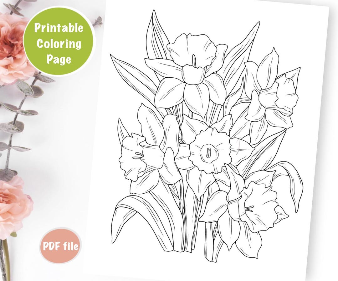 Daffodil Flower Coloring Page: Realistic Floral Design (PDF) - Etsy