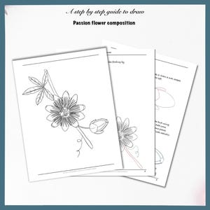 How to draw Passion flowers, Step by Step drawing guide, Learn how to draw flowers, printable worksheets, digital download Ebook
