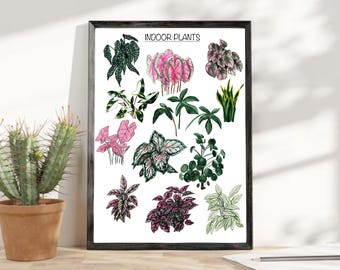 Zimmerpflanzen Aquarell Illustration: Botanische Pflanzen Kunst (Digitaler Download)