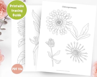 Hulplijnen voor het traceren van bloemen, bloemen leren tekenen, kleurplaten, afdrukbare werkbladen, digitale download, hoe te tekenen, anemoon, zonnebloemroos