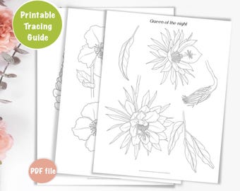 Handleidingen voor het traceren van bloemen, bloemen leren tekenen, kleurplaten, afdrukbare werkbladen, digitale download, hoe te tekenen, klaproos, koningin van de nacht