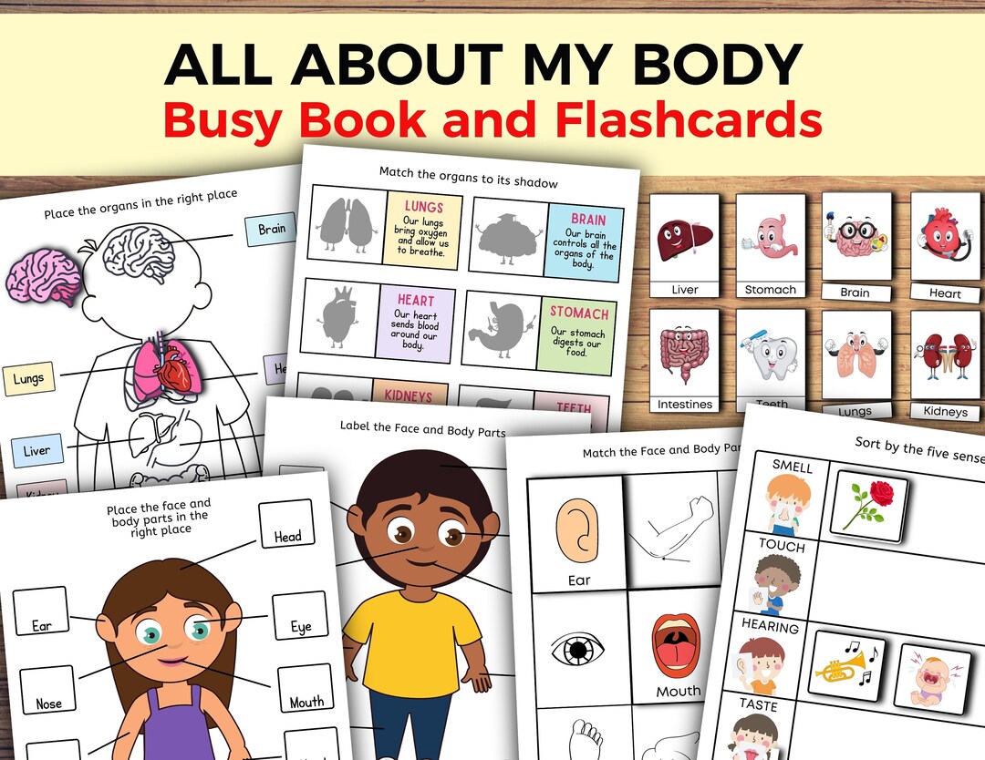 All About My Body Busy Book Busy Book Printable Human - Etsy