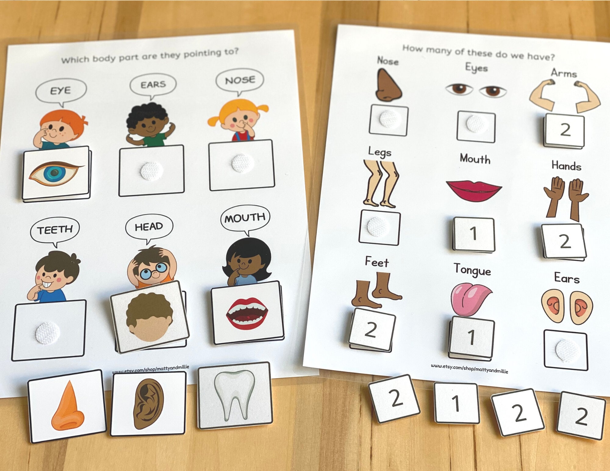 All About My Body Busy Book Busy Book Printable Human Etsy Canada