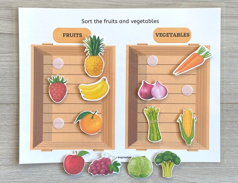 Sort Fruits and Vegetables Busy Book Printable Printable Etsy
