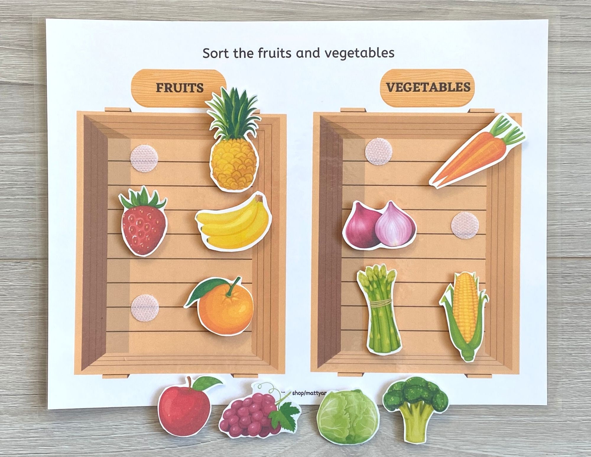 Sort Fruits and Vegetables Busy Book Printable Printable Etsy