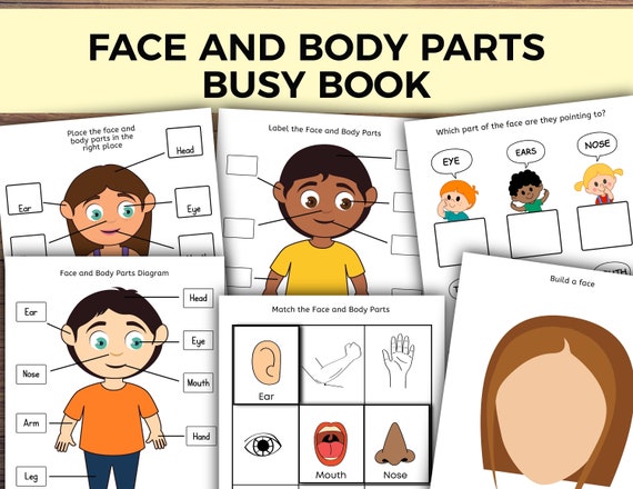 face and body parts busy book busy book printable preschool etsy