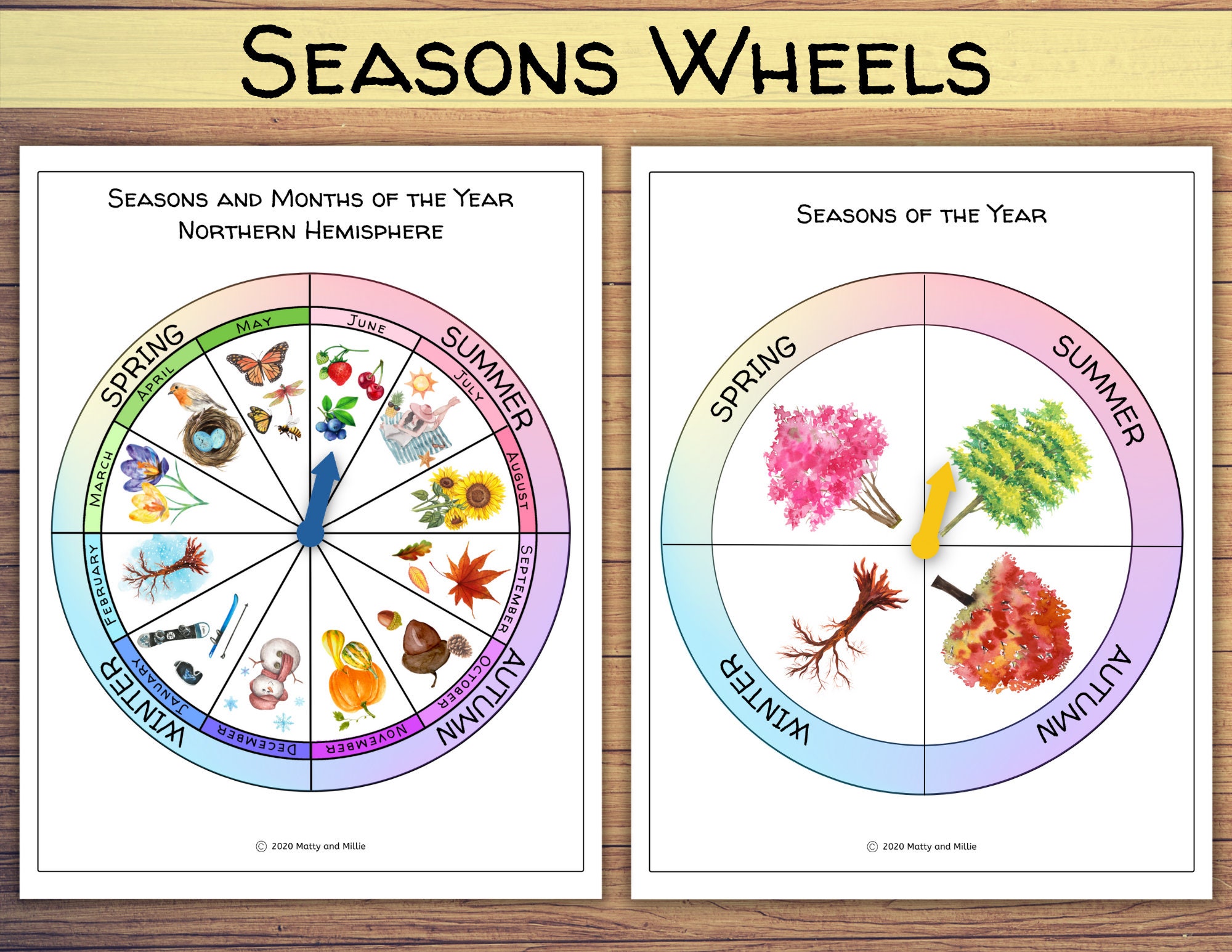 Seasons Wheel Phenology Wheel Four Seasons Unit Study Four Etsy