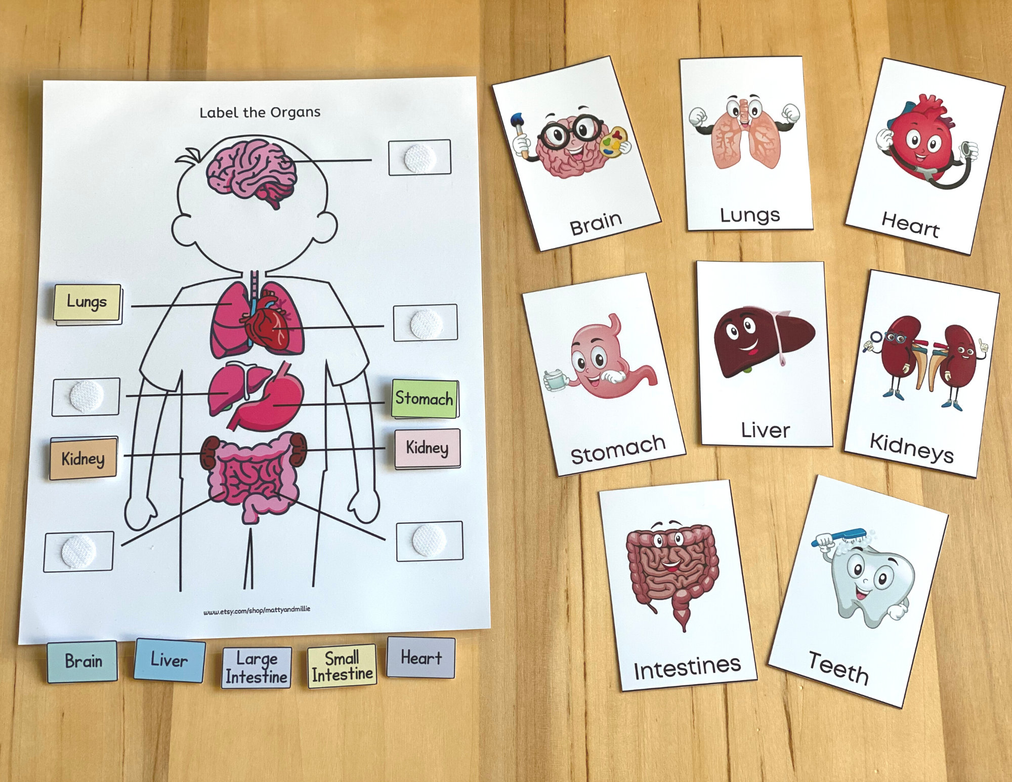 All About My Body Busy Book Busy Book Printable Human Etsy Australia