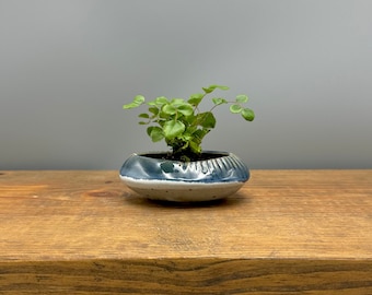 Small Shallow Blue Planter With Feet, Shohin Bonsai Pot, Handmade Oval Ceramic Planter, Indoor Windowsill Planter With Drainage, Cactus Pot