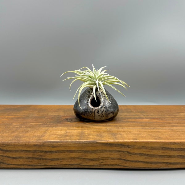 Ceramic Air Plant Stand, Handmade Tillandsia Display, Air Plant Holder Desk, Air Fern Holder, Air Plant Container Black, Plant Lover Gift