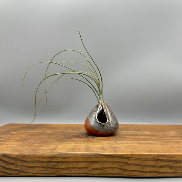 Ceramic Air Plant Display, Handmade Tillandsia Container, Air Plant Holder Desk, Red Air Plant Stand, Plant Lover Or Housewarming Gift