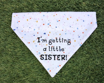 I'm getting a little Sister Dog Bandana Pregnancy Announcement Over the Collar