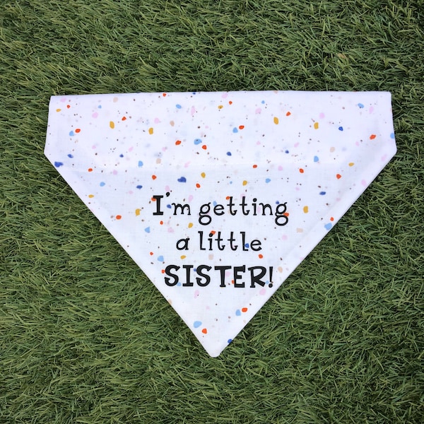 I'm getting a little Sister Dog Bandana Pregnancy Announcement Over the Collar