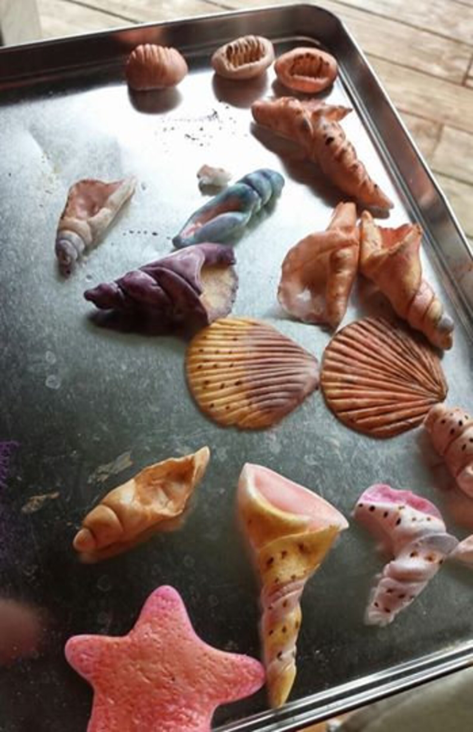 Fondant Seashell Assortment Etsy