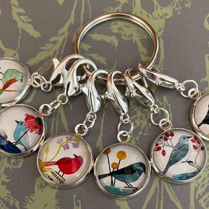 May include: A set of seven bird-themed charms on a silver keyring. Each circular charm showcases a different bird illustration, set within a silver frame. The birds are depicted with flowers and foliage, creating a nature-inspired theme.