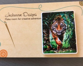 May include: A close-up of a tiger walking through lush green foliage. The tiger has orange and black stripes and is looking directly at the camera.