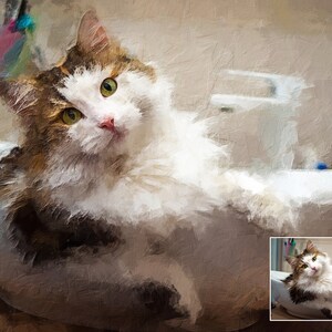 Op de afbeelding: Een wit-bruine tabbykat met groene ogen ligt in een witte porseleinen gootsteen. De kat kijkt met een nieuwsgierige blik naar de camera. De gootsteen bevindt zich in een badkamer met een witte betegelde muur.