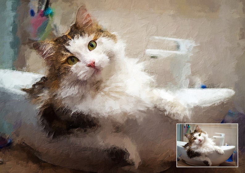 Op de afbeelding: Een wit-bruine tabbykat met groene ogen ligt in een witte porseleinen gootsteen. De kat kijkt met een nieuwsgierige blik naar de camera. De gootsteen bevindt zich in een badkamer met een witte betegelde muur.