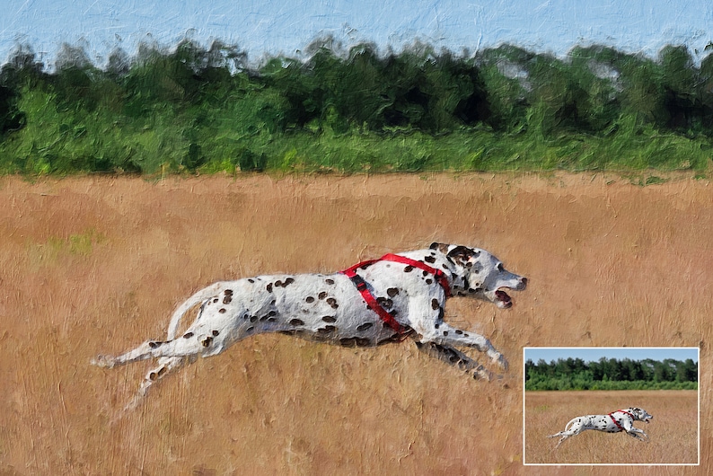 pet portrait