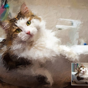 cat portrait