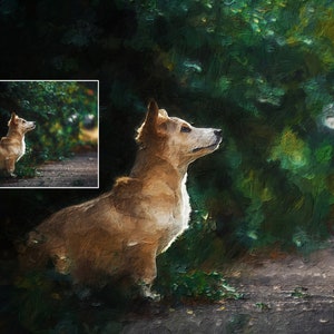 Op de afbeelding: Een lichtbruine en witte hond met korte poten zit in een groene graszone. De hond kijkt omhoog en naar rechts. De achtergrond is wazig en onscherp.
