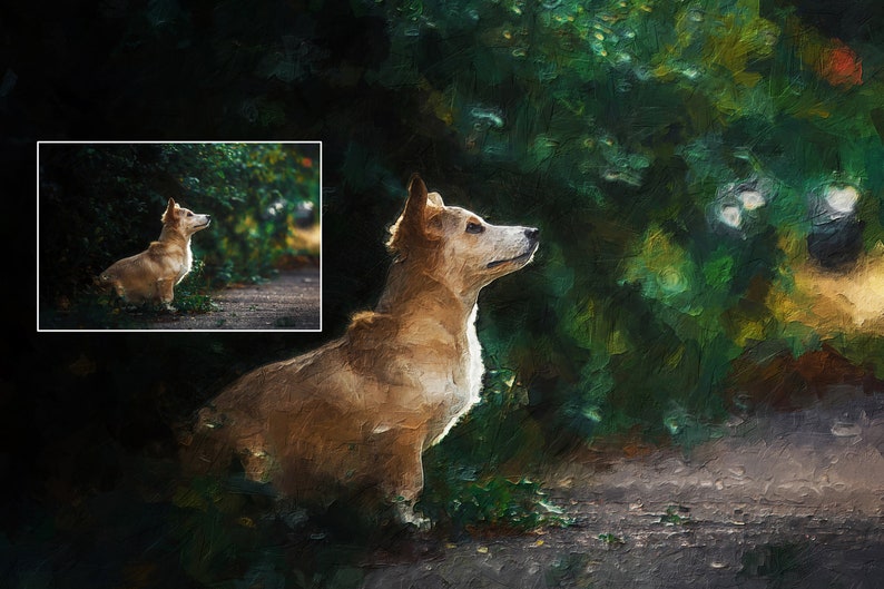 Op de afbeelding: Een lichtbruine en witte hond met korte poten zit in een groene graszone. De hond kijkt omhoog en naar rechts. De achtergrond is wazig en onscherp.