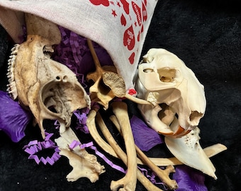 Oddity Valentines Mystery Bag