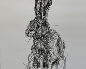 Zittende haas - Originele grafiettekening