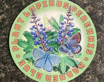 Karner Blue Butterfly Wild Sundial Lupine Sticker Decal