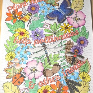 May include: A colourful illustration of native plants, insects, and the text "Plant native plants, help pollinations & other insects". The illustration features a dragonfly, a bee, a butterfly, a ladybug, and various flowers.